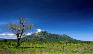 Taman Nasional Baluran-Jawa Timur